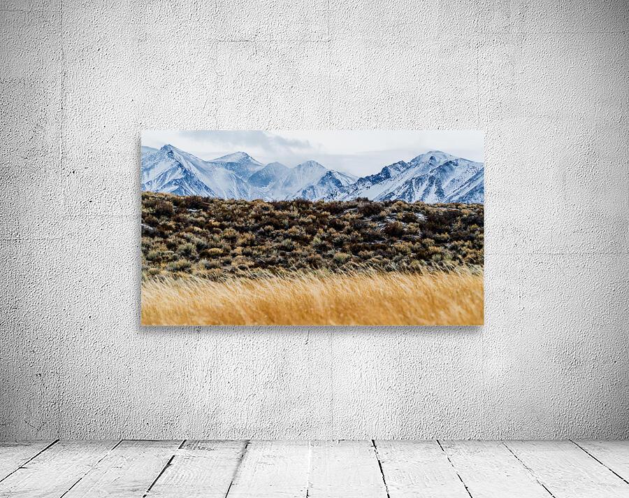 Mammoth Flat Lands Wall Preview