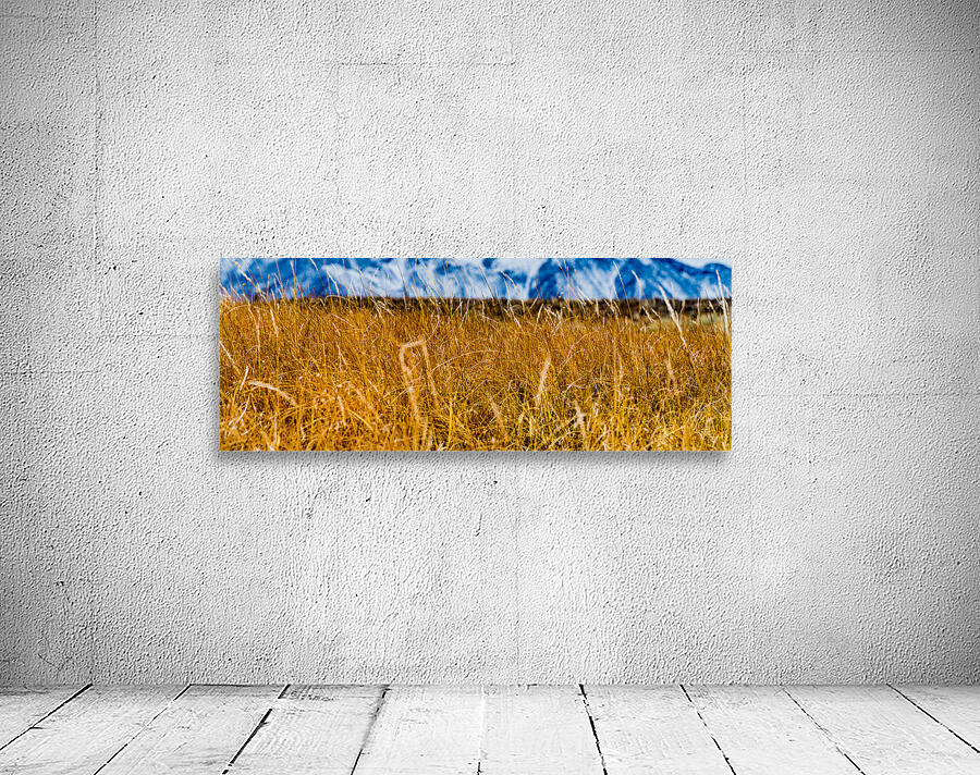 Mammoth Plains Wall Preview
