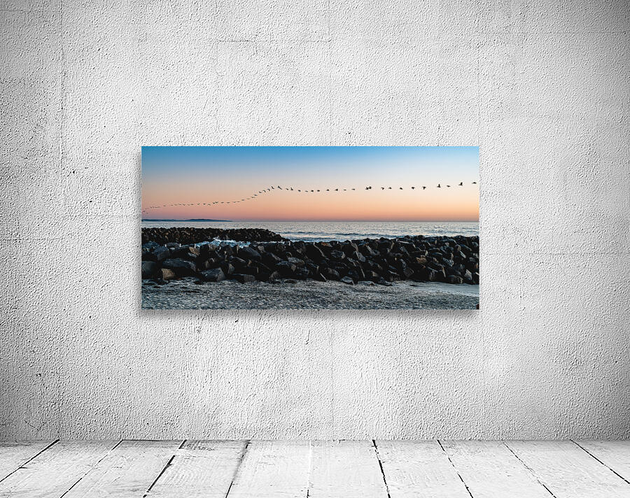 60 Pelicans Wall Preview