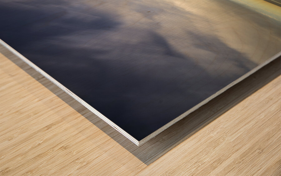 CBADCOASTWARM WATERS Wood print