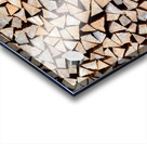 Preparing For Winter Acrylic print