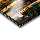 Hawaiian Forest Acrylic print