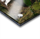 Deep In The Jungle Acrylic print