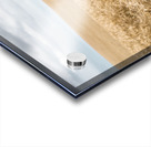 Fields Of Wheat Acrylic print