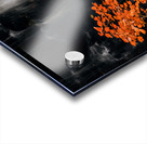 Autumn Waterfall Acrylic print