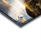 Cactus Garden At Sunset Acrylic print