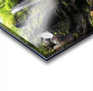 Hidden Falls Acrylic print