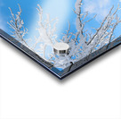 Snowy Skies Acrylic print