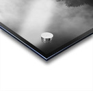 Smoky Trees Impression Acrylique