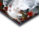 North Carolina Waterfall Acrylic print