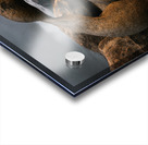 Eye Of The Storm Acrylic print