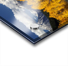 Fall In Wyoming Acrylic print