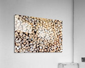 Preparing For Winter Acrylic Print