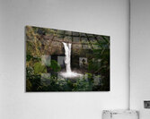 Deep In The Jungle Acrylic Print