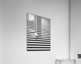 Crosswalk Acrylic Print