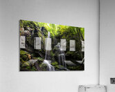 Hidden Falls Acrylic Print