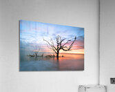 The Last Standing Tree Acrylic Print