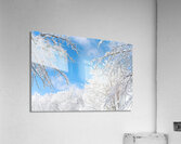 Snowy Skies Acrylic Print