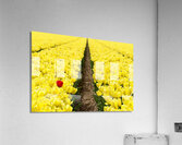 Red Amongst The Yellows Acrylic Print