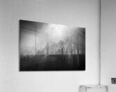 Smoky Trees Impression acrylique