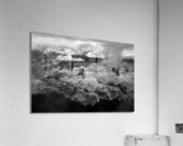 The Majestic Grand Canyon Impression acrylique