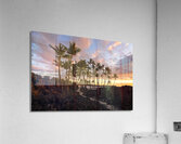 A Patch Of Paradise Acrylic Print