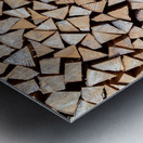 Preparing For Winter Metal print