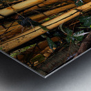 Hawaiian Forest Metal print