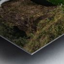 Deep In The Jungle Metal print