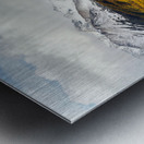 Golden Alaska Metal print