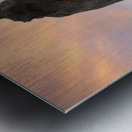 Arch At Sunset Metal print