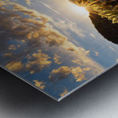 Cactus Garden At Sunset Metal print