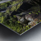 Hidden Falls Metal print