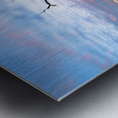 The Last Standing Tree Metal print