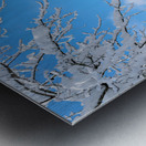 Snowy Skies Metal print