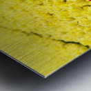 Red Amongst The Yellows Metal print