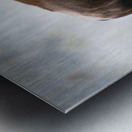 American Buffalo Metal print