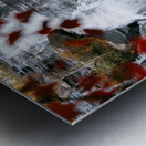 North Carolina Waterfall Metal print