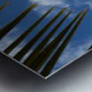 Palm Tree Skies Metal print