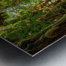 The Rainforest Metal print