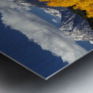 Fall In Wyoming Metal print