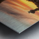 The Throne Metal print