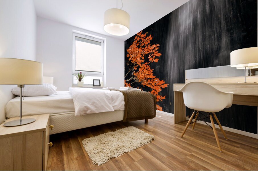 Autumn Waterfall Mural print