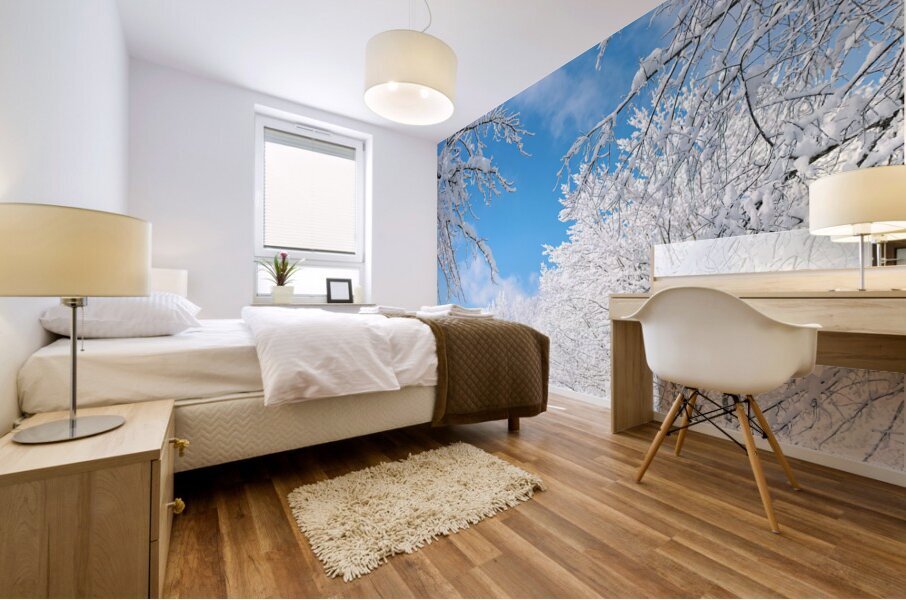 Snowy Skies Mural print