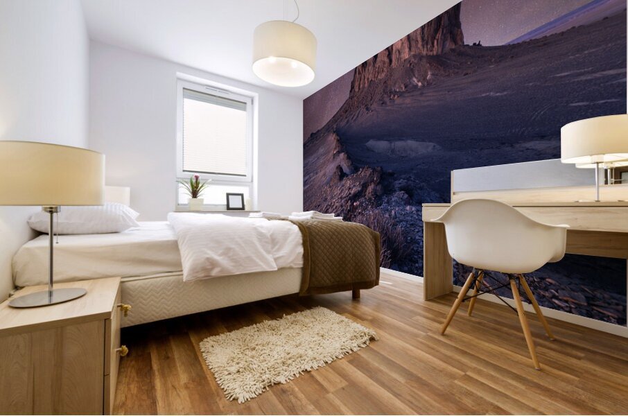 Midnight Dreams  Mural print