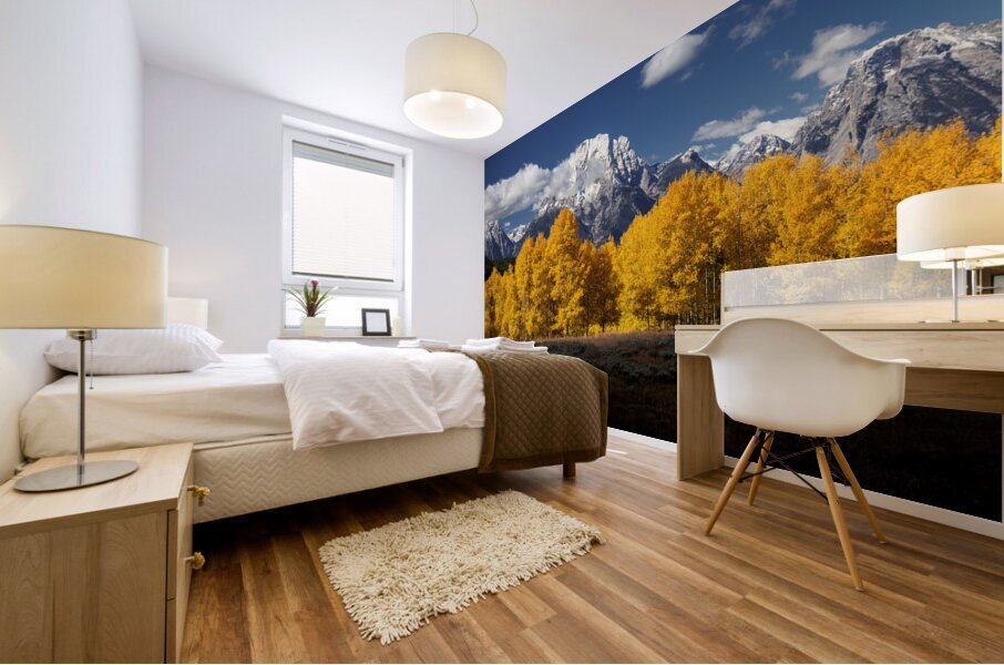 Fall In Wyoming Mural print