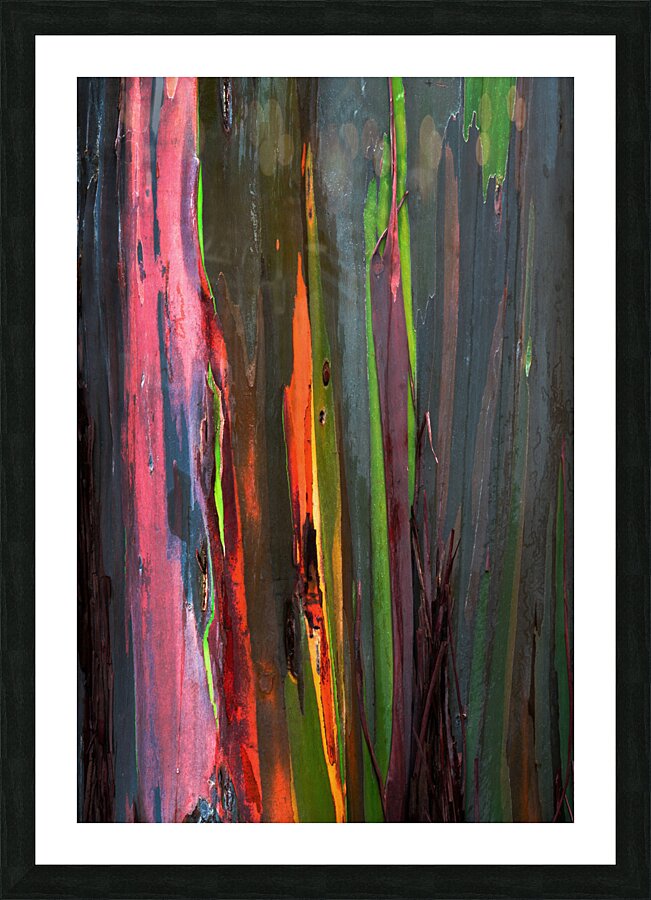 Rainbow Tree Picture Frame print