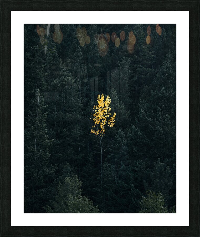 Odd Man Out Picture Frame print