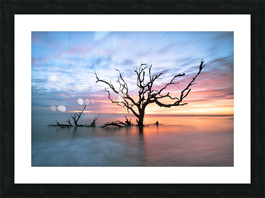 The Last Standing Tree Picture Frame print