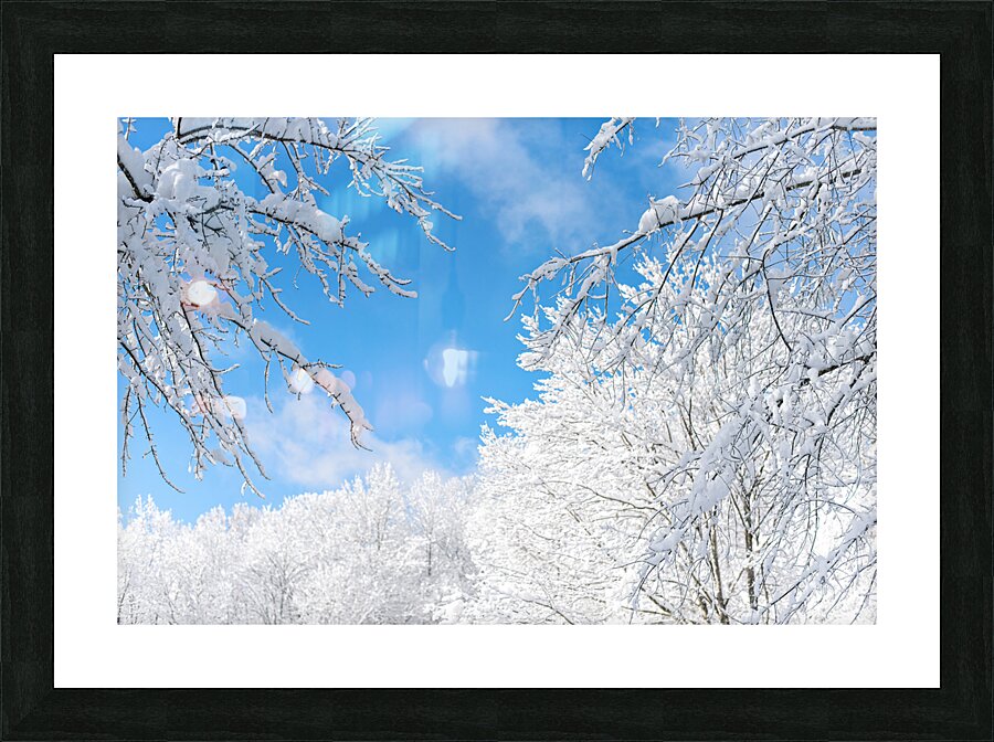 Snowy Skies Picture Frame print